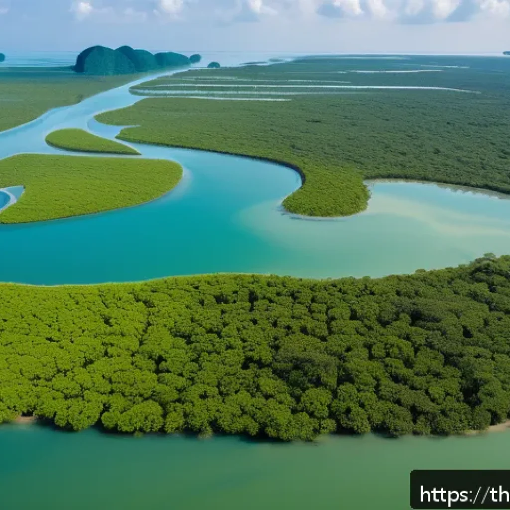 서식지 회복 프로젝트에서의 통계 활용 - A detailed aerial view of a thriving mangrove forest restoration project in southern Thailand, featu...