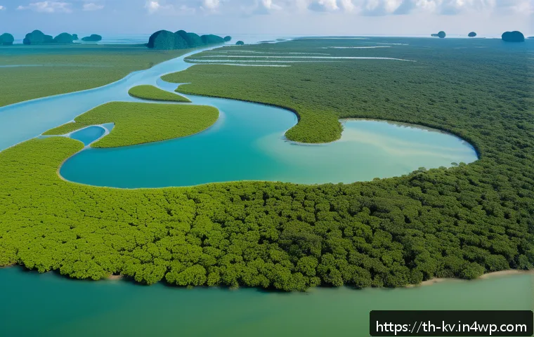 서식지 회복 프로젝트에서의 통계 활용 - A detailed aerial view of a thriving mangrove forest restoration project in southern Thailand, featu...